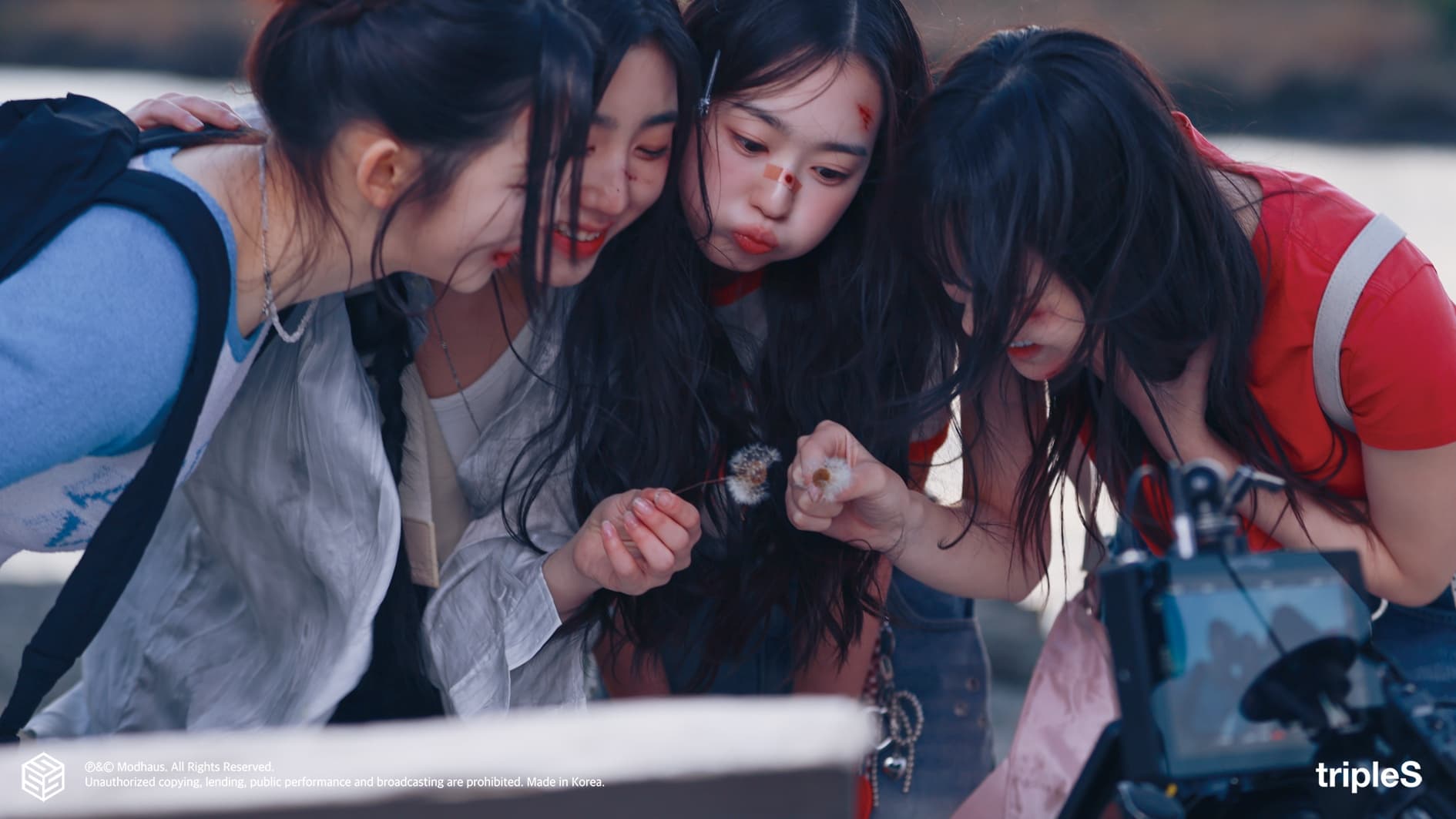 tripleS ASSEMBLE25: K-팝 최대 규모 팬 민주주의 실험의 내막