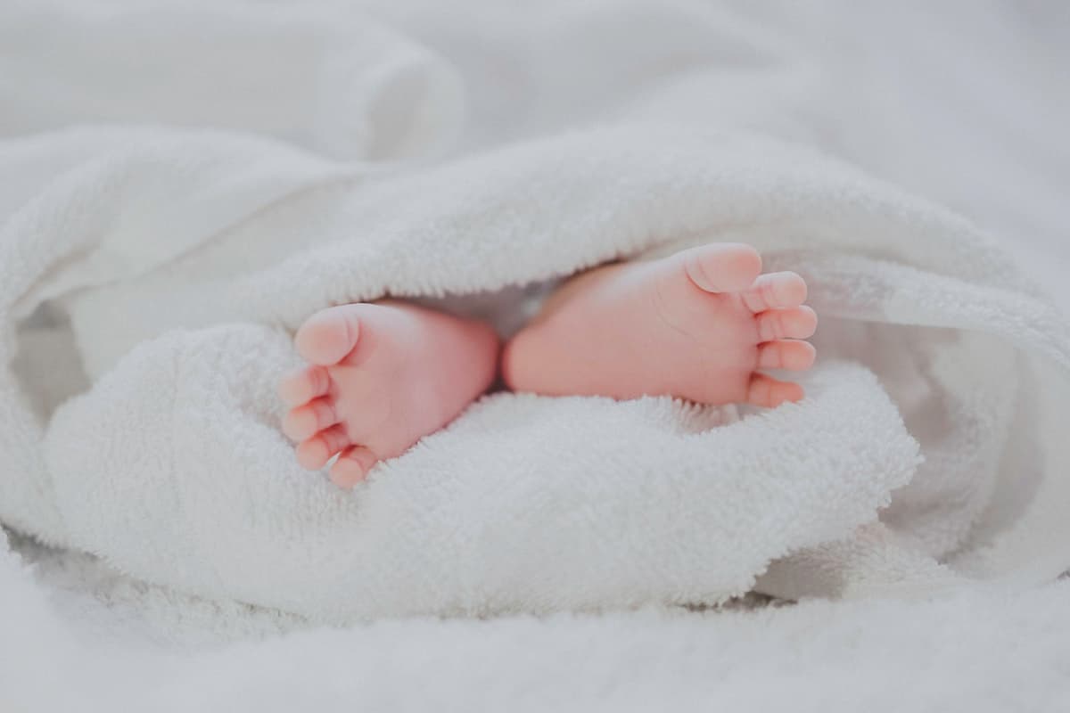 생후 18개월 재이, 광고 18편 찍고 납세자 되다