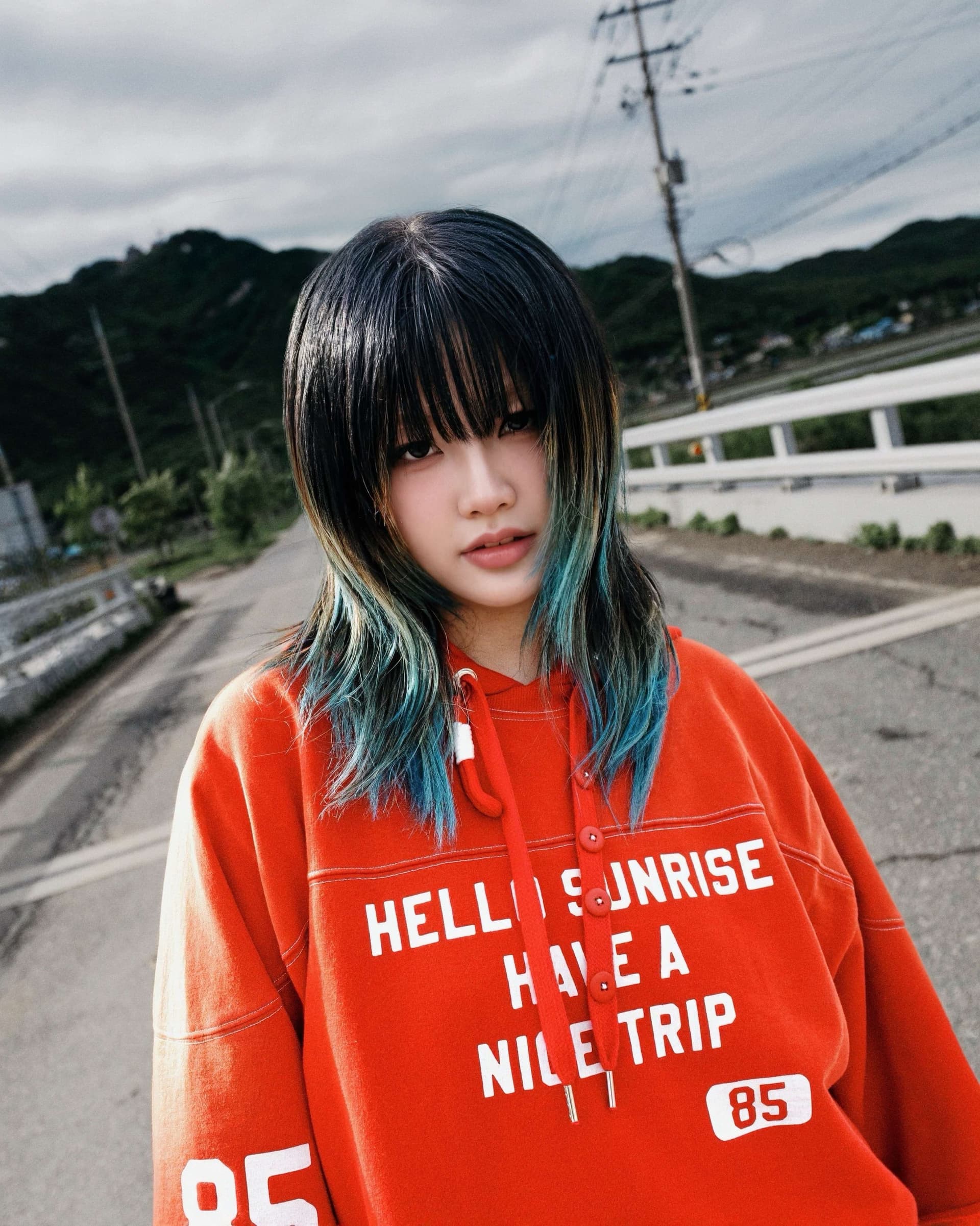 앨리스유