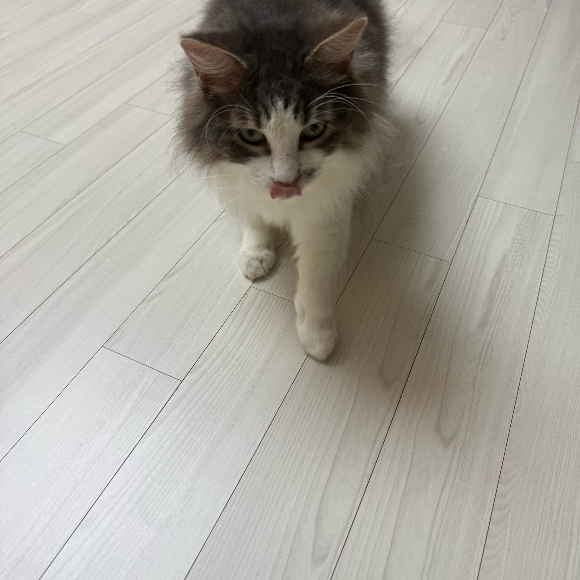 김태래