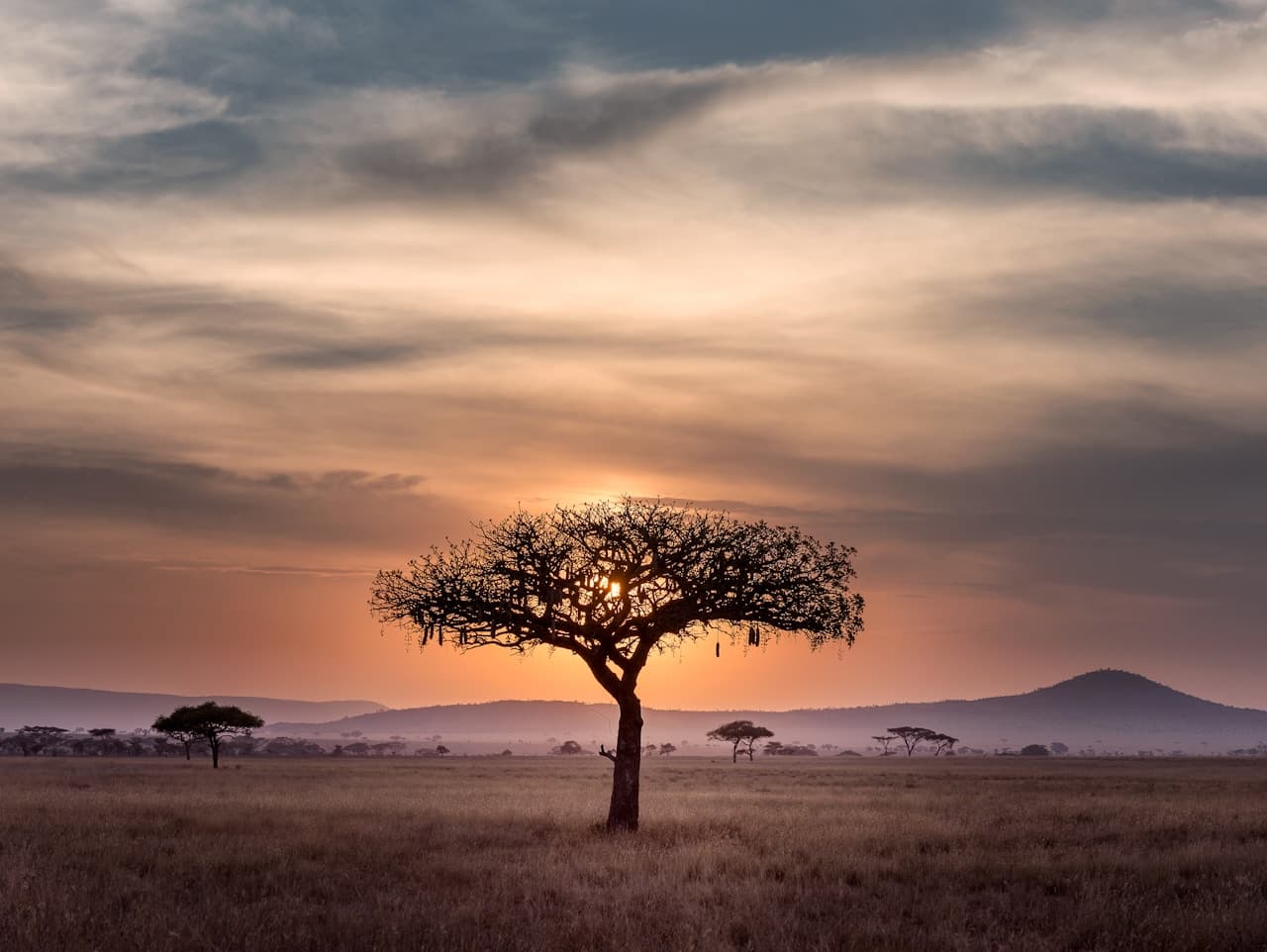 The vast African savanna landscape at sunset — the kind of terrain explored in MBC Every1's The Great Guide 3